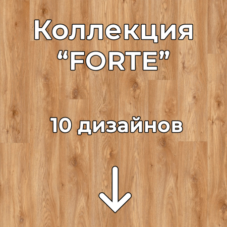 Без имени-2