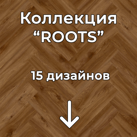 Без имени-2