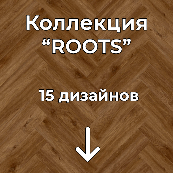 Без имени-2