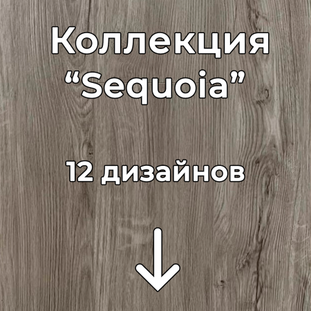 Без имени-2