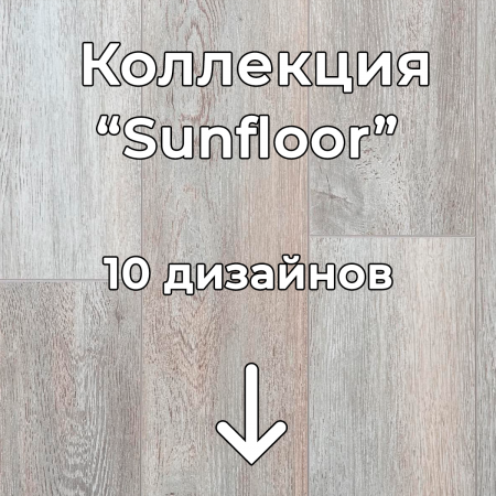 Без имени-2