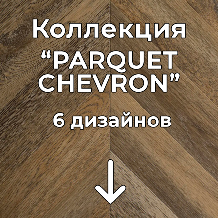 Без имени-2