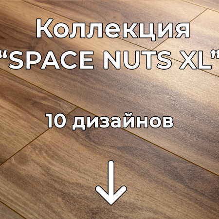 Без имени-2