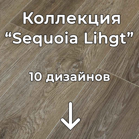 Без имени-2