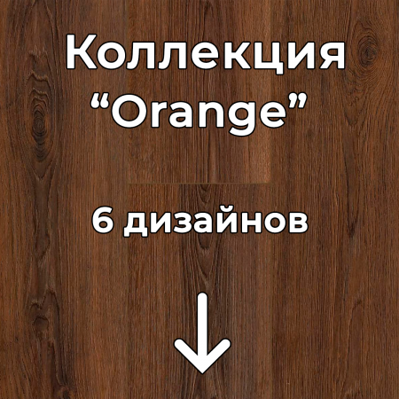 Без имени-2