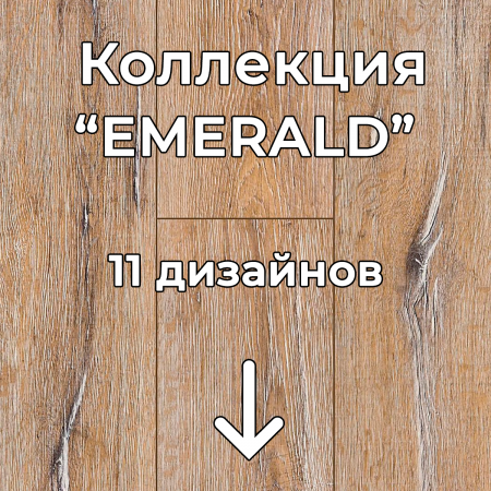 Без имени-2