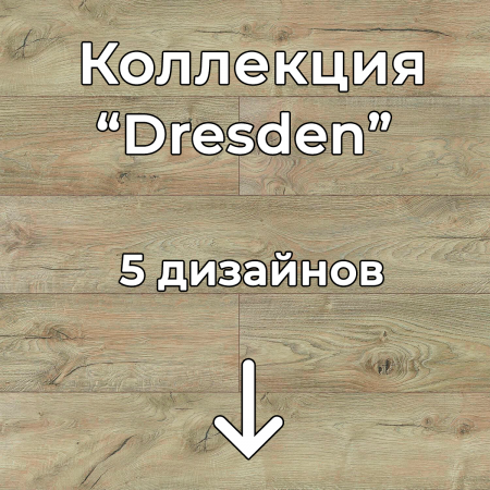 Без имени-2