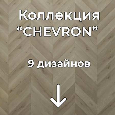 Без имени-2