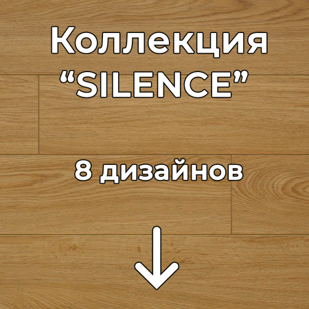 Без имени-2