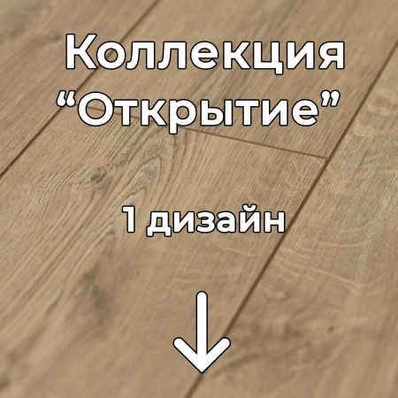 Без имени-2