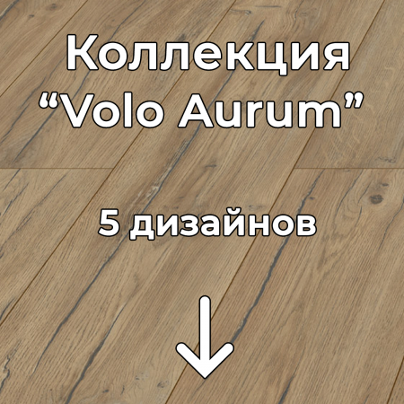 Без имени-2