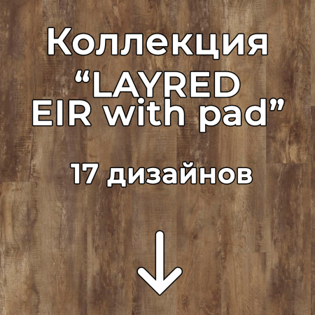 Без имени-2