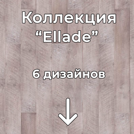 Без имени-2