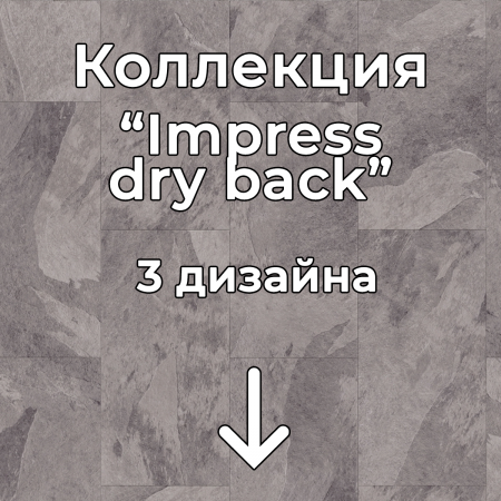 Без имени-2
