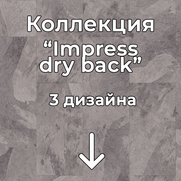 Без имени-2