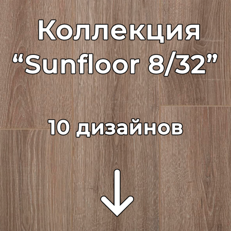 Без имени-2