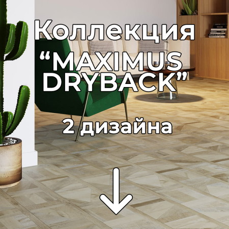 Без имени-2