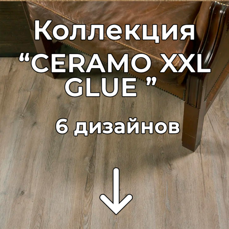 Без имени-2