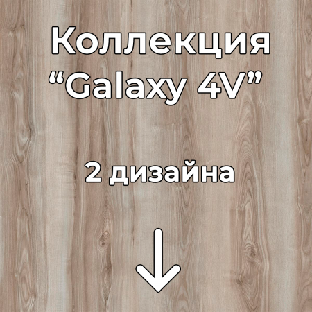 Без имени-2