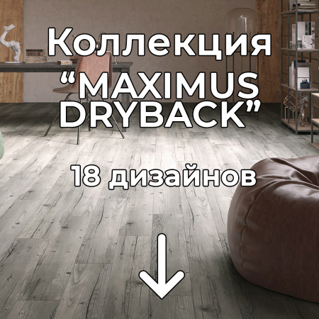 Без имени-2