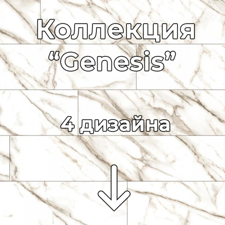 Без имени-2