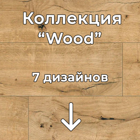 Без имени-2