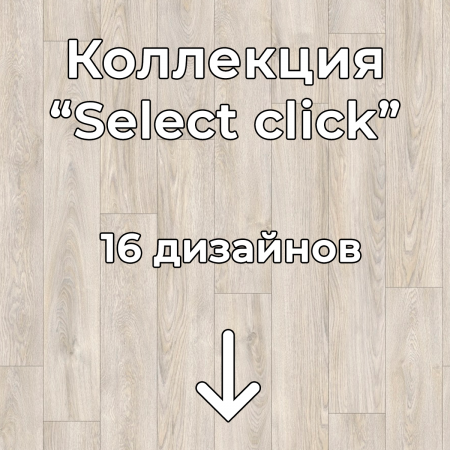 Без имени-2