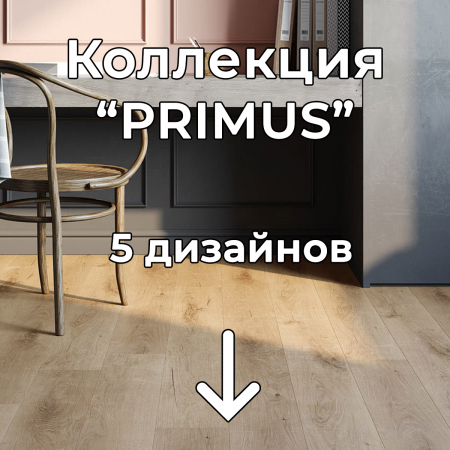 Без имени-2