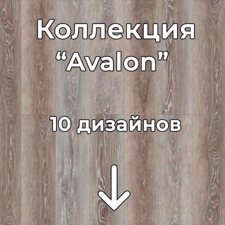 Без имени-2