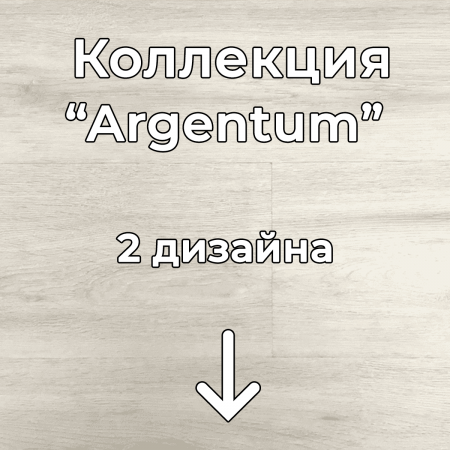 Без имени-2