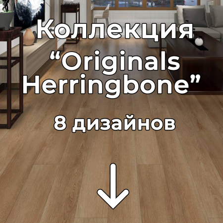 Без имени-2