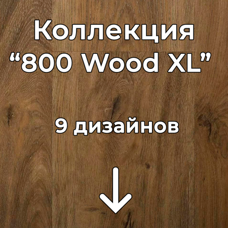 Без имени-2