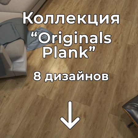Без имени-2
