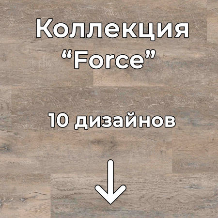 Без имени-2