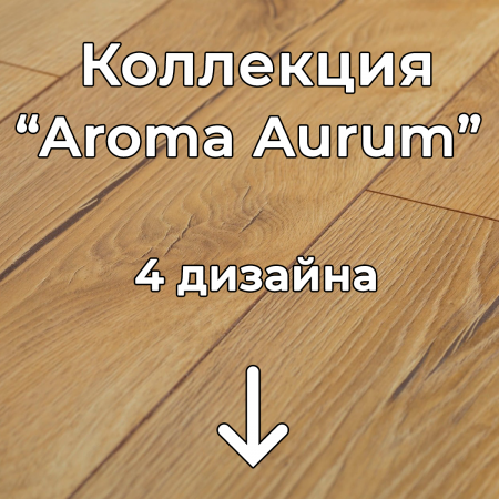 Без имени-2