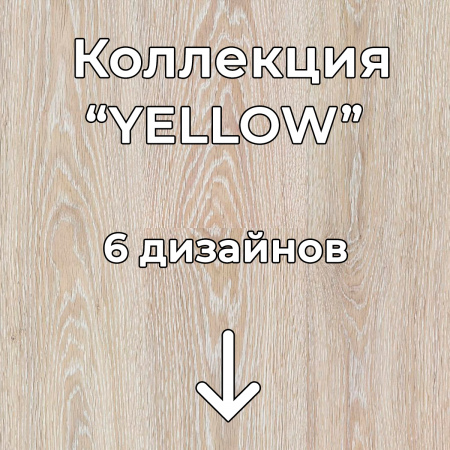 Без имени-2