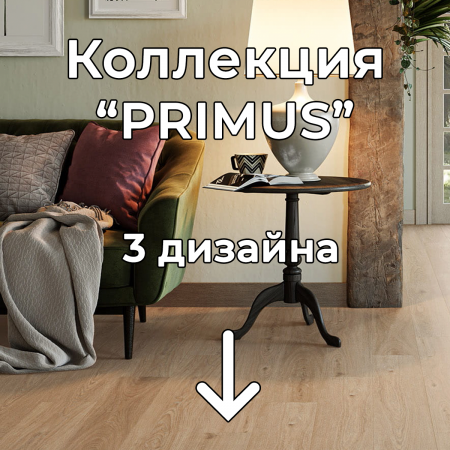 Без имени-2