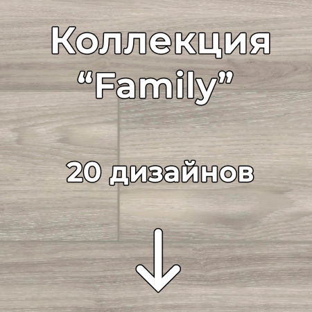 Без имени-2