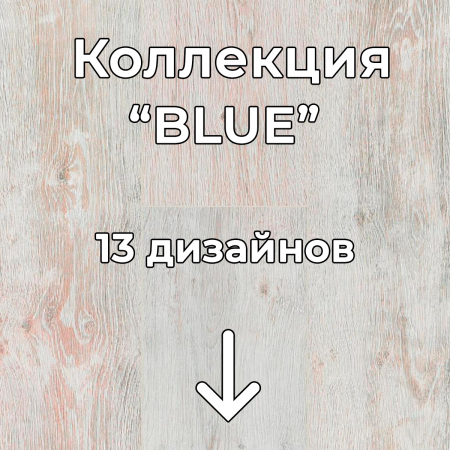 Без имени-2