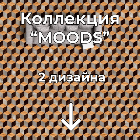 Без имени-2