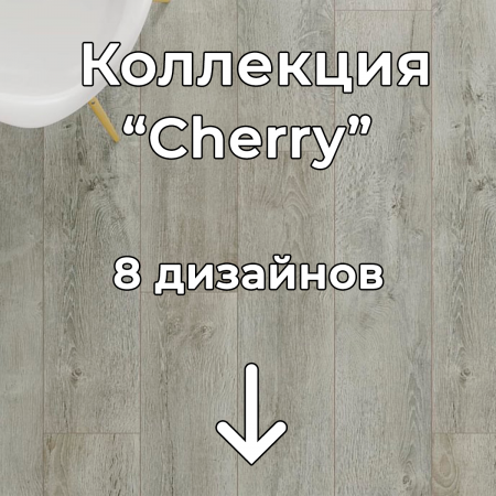 Без имени-2