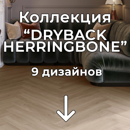 Без имени-2