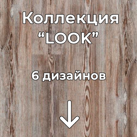 Без имени-2
