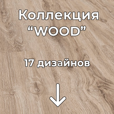 Без имени-2