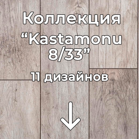 Без имени-2