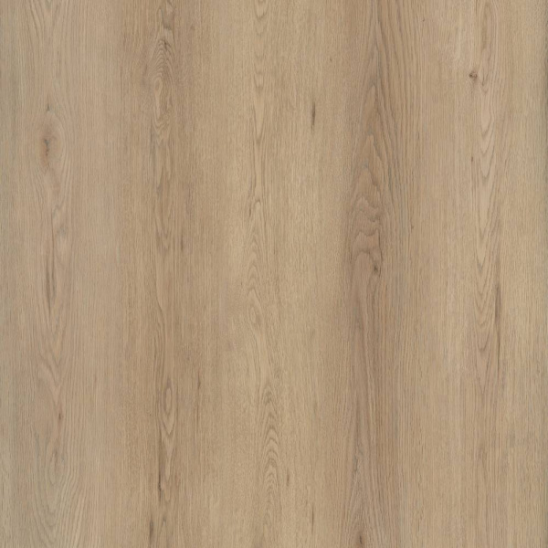 nqdc8beoiha4k5ml03ngygsq31mks6qw