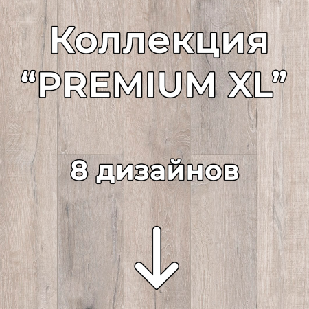 Без имени-2
