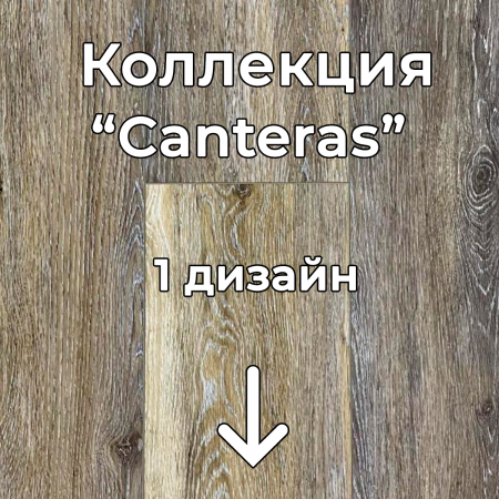 Без имени-2
