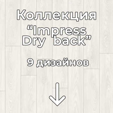 Без имени-2
