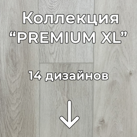Без имени-2